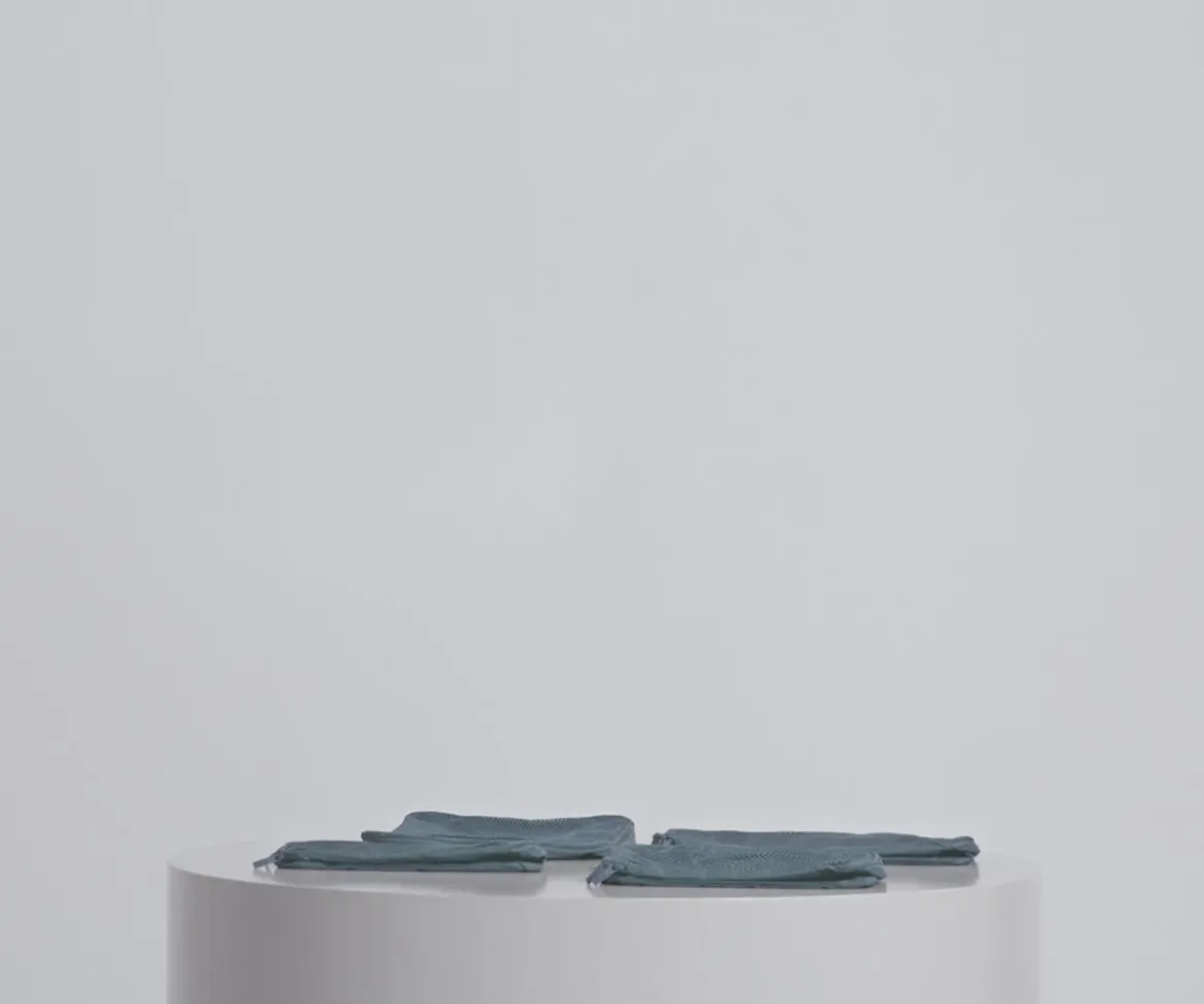 Insider Packing Cubes (Set of 4) in Coast Blue