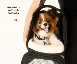 The Pet Carrier in Coast Blue