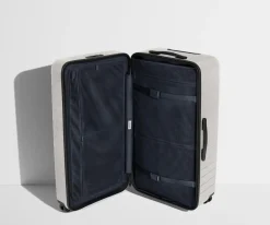 The Trunk in Cloud Gray
